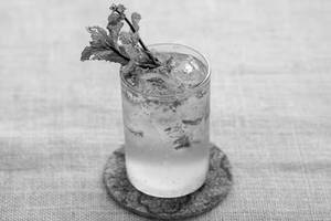Mint Cooler