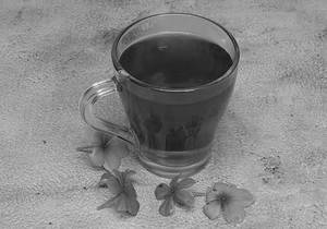 Hibiscus Rose Herbal