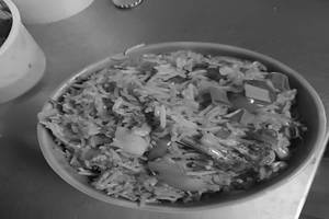 Bawarchi Spl Fried Rice