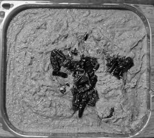 Roti Pachadi