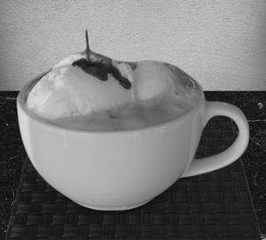 Affagato