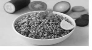Mix Sprouts Salad