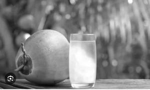 Tender Coconut