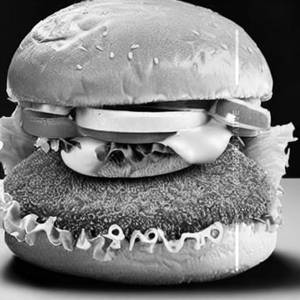 Fish Burger