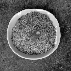 Plain Rice