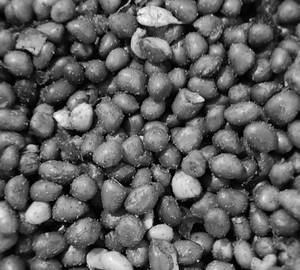 Peanut Masala 250