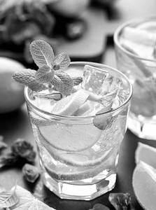 Mint Mojito