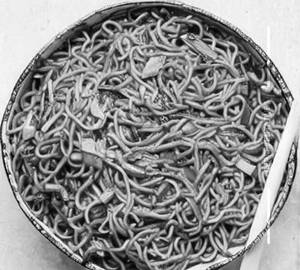 Schezwan Noodles