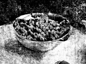 Baingan bharta