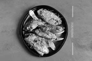 Apollo Fish