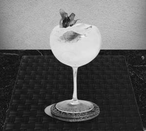 Virgin Mojito