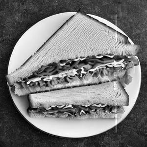 Special Subway Sandwich
