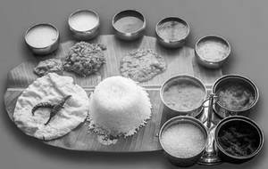 Veg meals