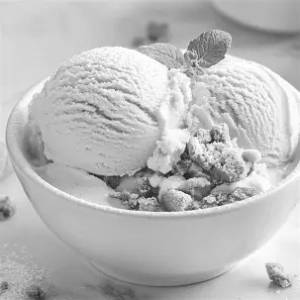 Vanilla Ice Cream
