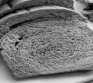 Whole Wheat Bread