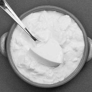 Malai Curd