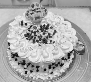 Chocolate Choco Chips Cake [500 Grams]