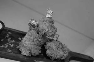Chicken Lollypop