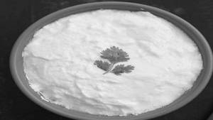 Plain Curd