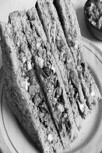 Mix Veggie Paneer Sandwich