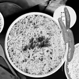 White Rice