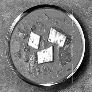 Achari Paneer Pasanda