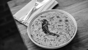 Butter Dahi Fry