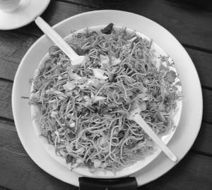 Chicken noodles