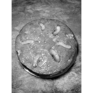 Apple Cake