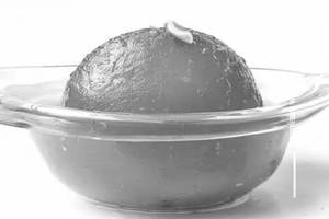 Gulabjamun Long