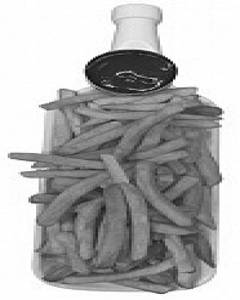 Classic Golden Fries