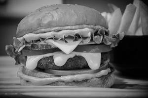 Veg Cheese Burger