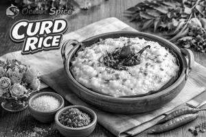 Curd Rice