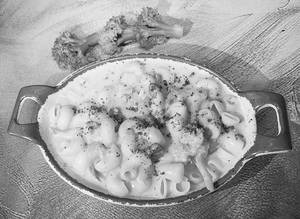 Veg White Sauce Pasta