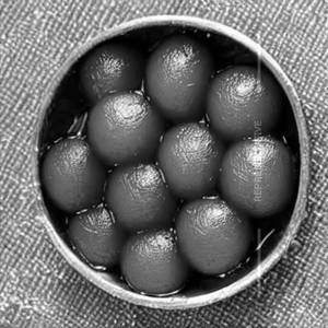 Gulab Jamun
