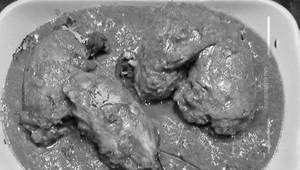 Chicken Angara