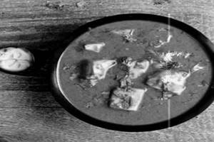 Fish Curry
