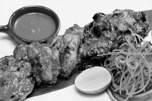 Pudina Chicken Tikka.