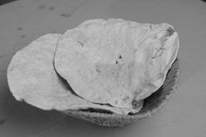 Tandoori Roti