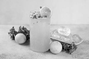 Mojito Mint