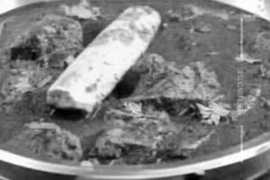 Gongura Mutton Curry