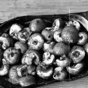 Salt & Pepper Mushroom