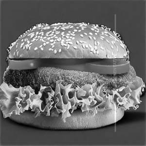 Chicken Zinger Cheese Burger