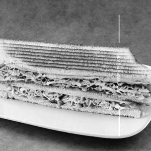 Coleslaw Sandwich