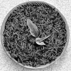 Gongura Rice