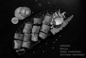 Veg Spring Roll