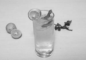 Fresh Lime Soda
