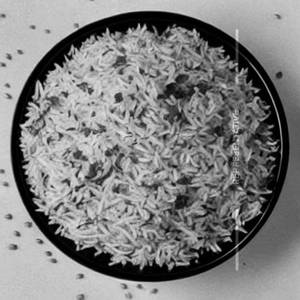 Plain Rice