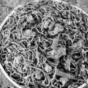 Murgh Hakka Noodles