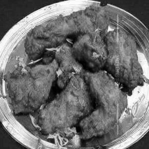 Chicken Rajdoot